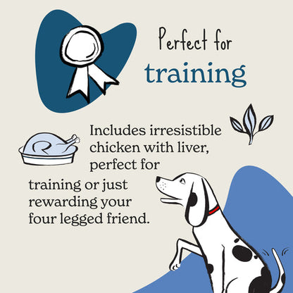 Rewards Training Multi-functional Soft Bites with Chicken & Liver