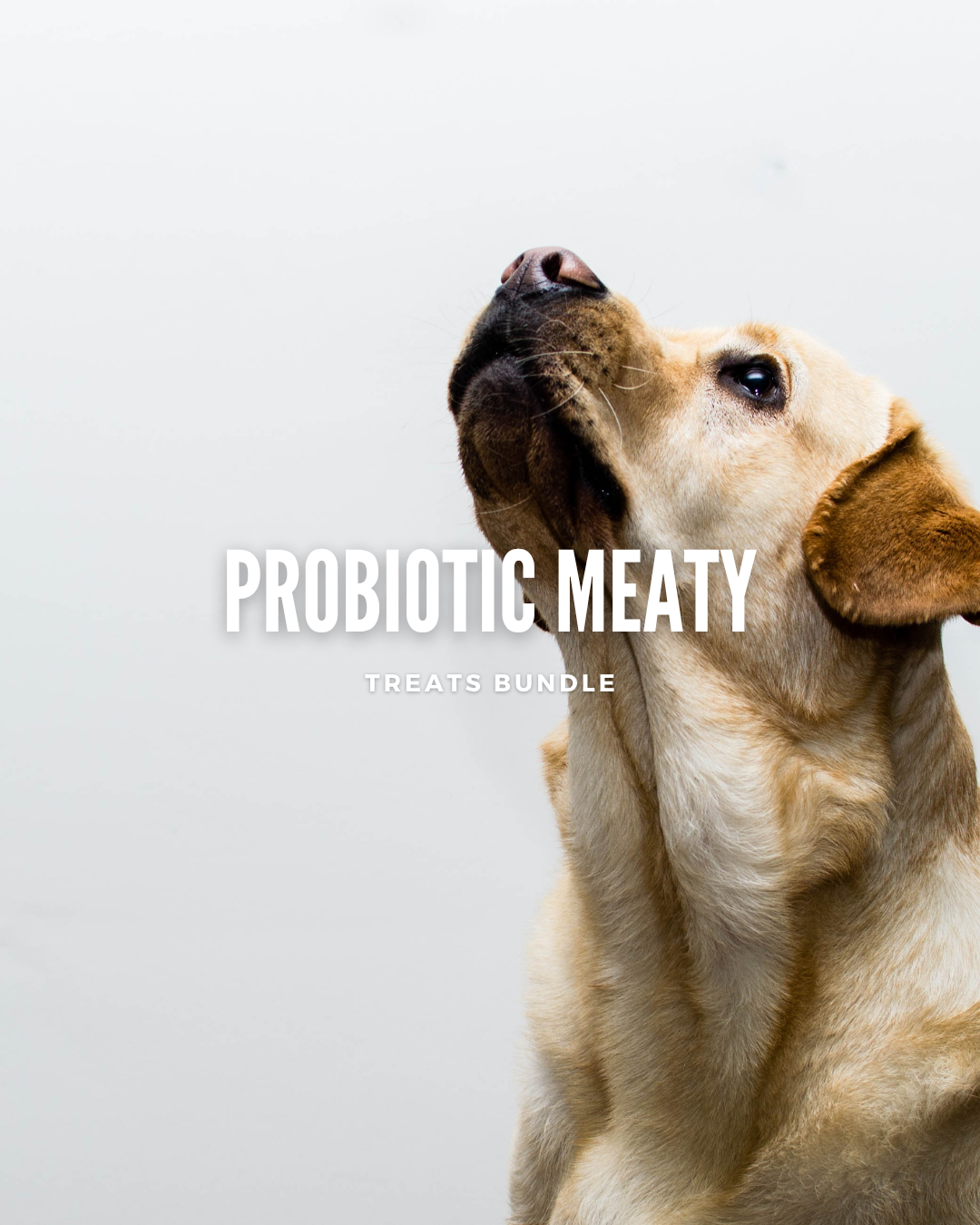 Probiotic Meaty Treats Bundle
