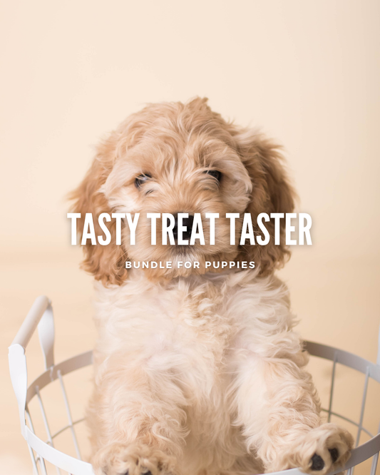 Tasty Treat Taster Bundle for Puppies