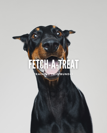 Fetch-a-Treat Bundle (Training Trio)