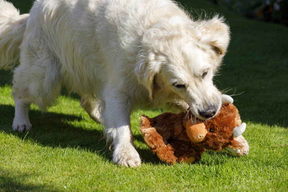 Hetty Highland Cow Plush Toy