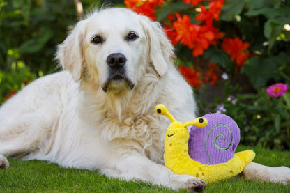 Sassy the Snail Plush Toy