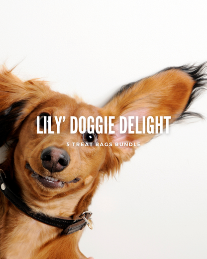Lily's Doggie Delights - 5 treat bags