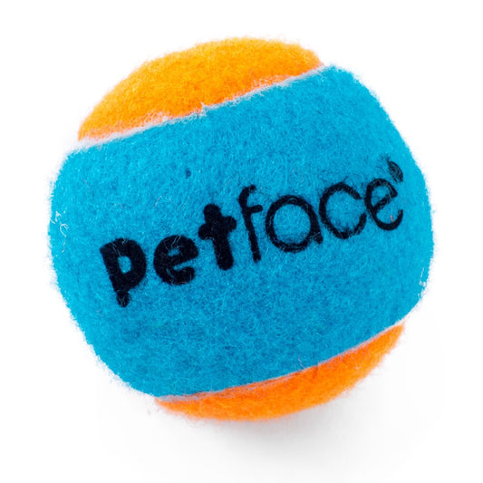 PetFace Squeaky Tennis Balls