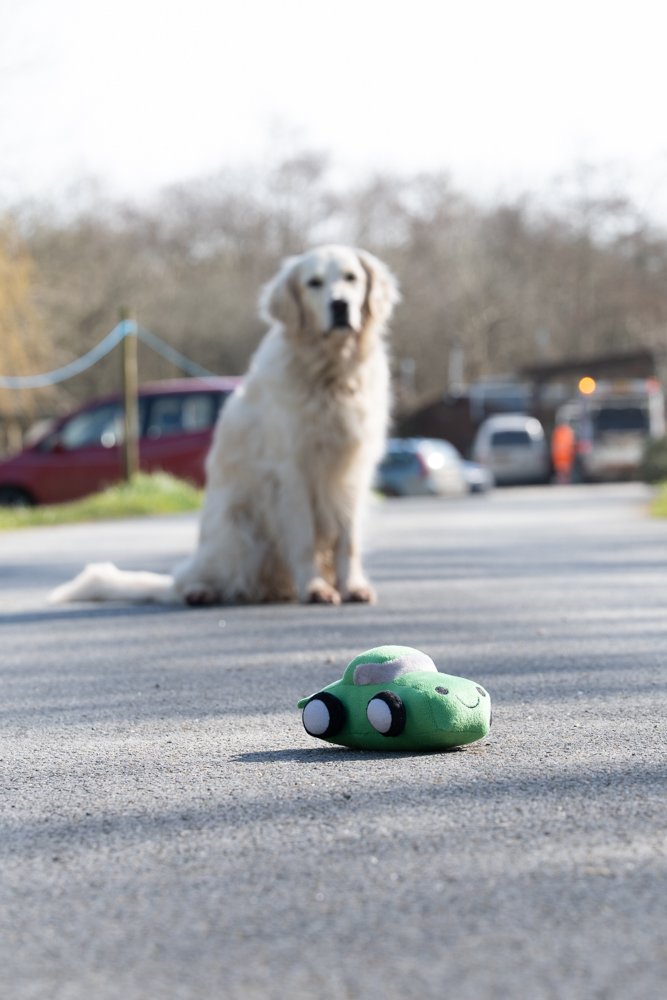 Speedy Steve The Racing Car Plush Toy