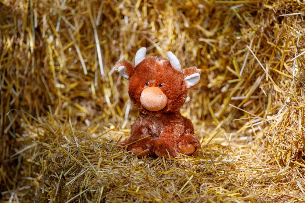 Hetty Highland Cow Plush Toy