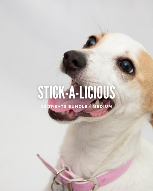 Stick-a-licious bundle (Medium) - 25 treats