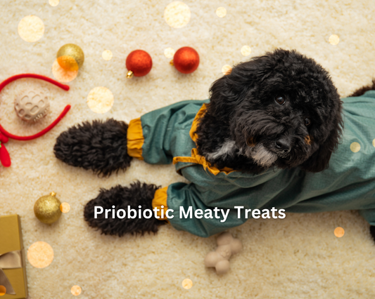 Probiotic Meaty Treats Bundle