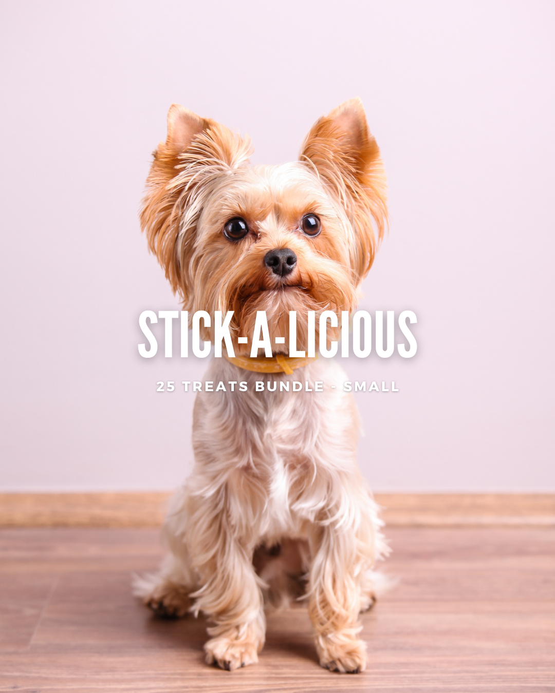 Stick-a-licious bundle (Small)  - 25 treats