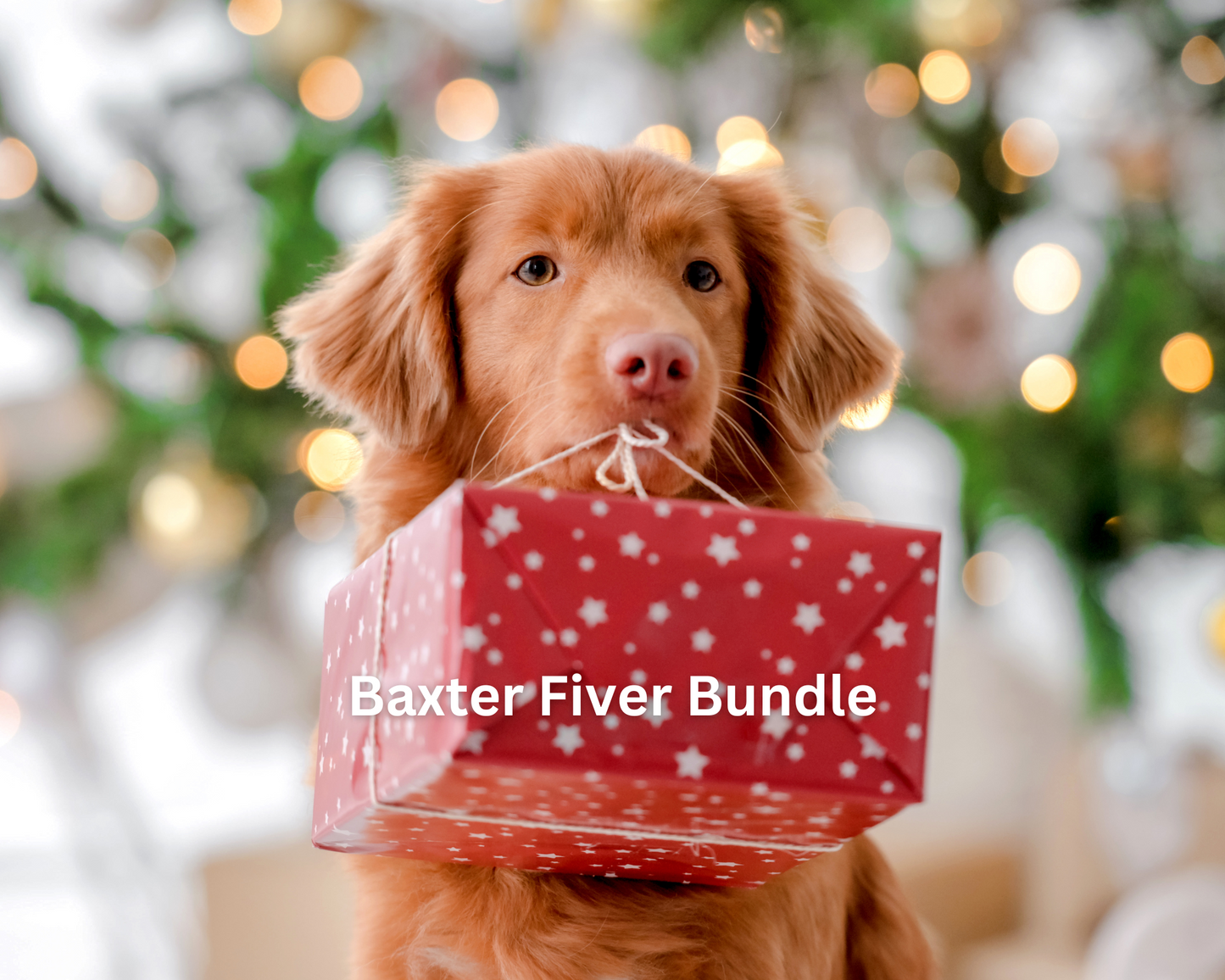 Baxter Fiver Bundle - 10 treats!