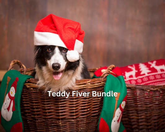 Teddy Fiver Bundle - 10 treats!