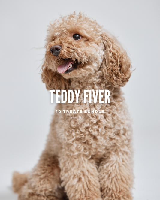 Teddy Bundle - 10 treats!