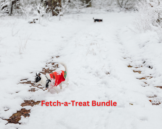 Fetch-a-Treat Bundle (Training Trio)