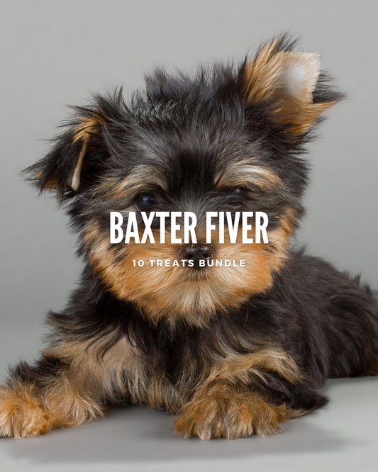 Baxter Bundle - 10 treats!