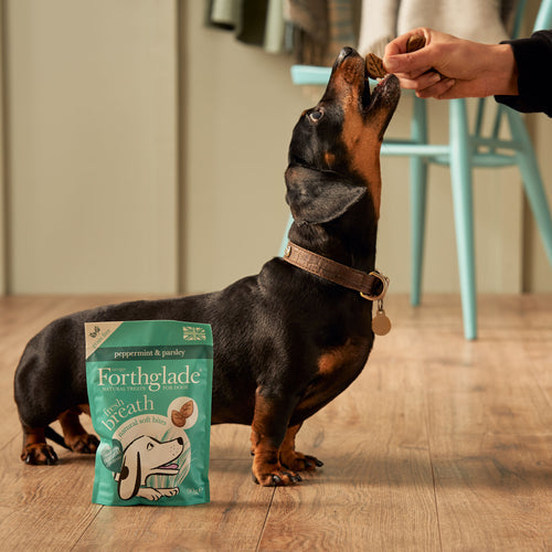 Fresh dog breath treats - peppermint & parsley soft bites
