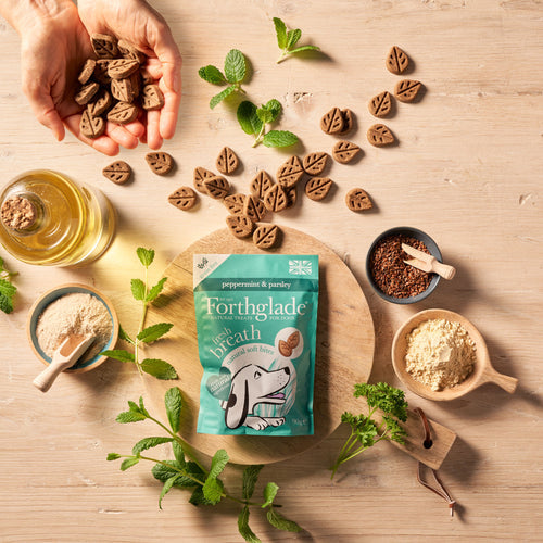 Fresh dog breath treats - peppermint & parsley soft bites