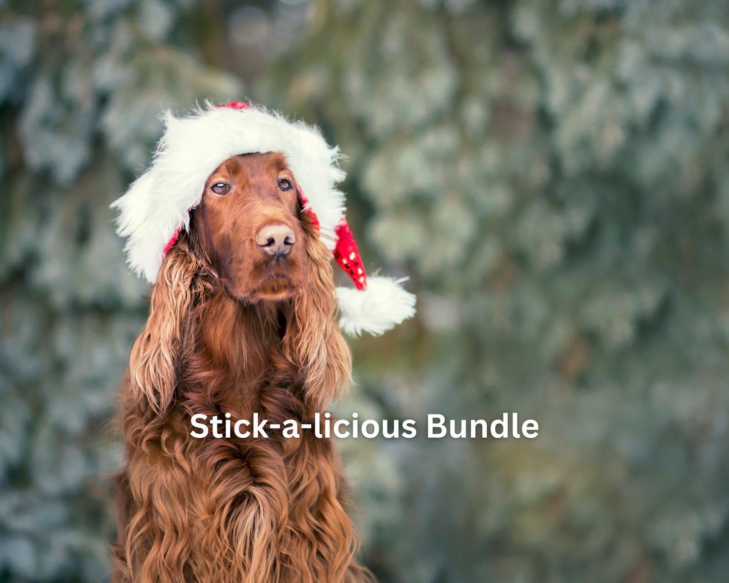 Stick-a-licious bundle (Medium) - 25 treats