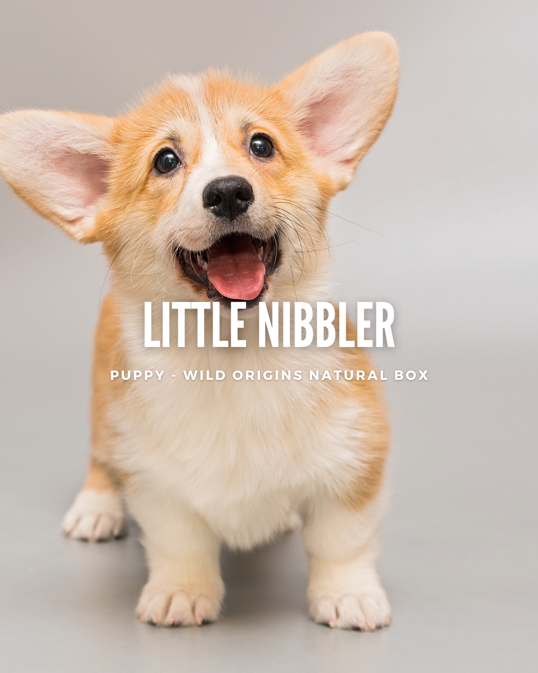 Little Nibbler (Puppy) - Small to Medium -  Wild Origins Natural Box