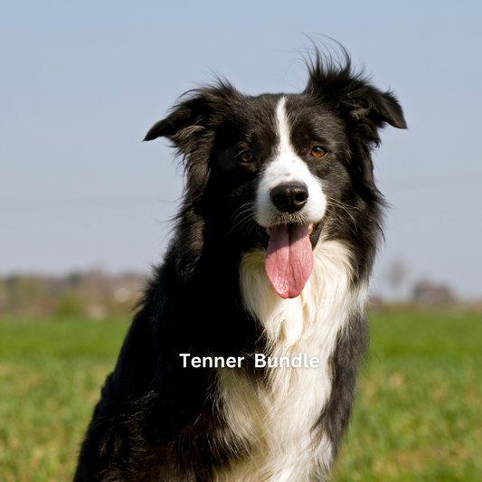 Tenner Bundle - 15 treats!