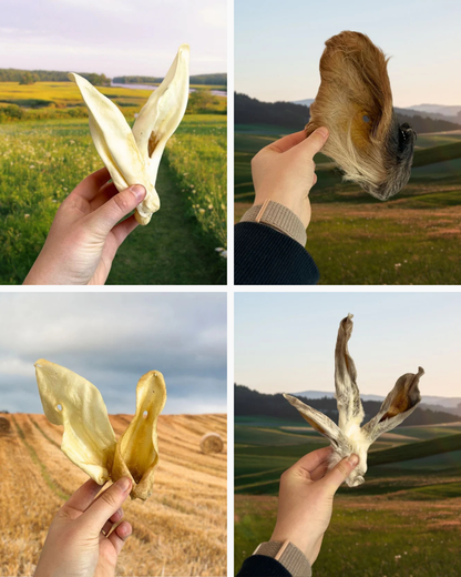 Ear-resistible (All Ears) Wild Origins Natural Box