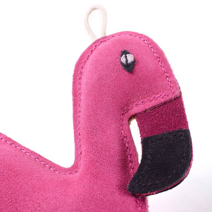 Floyd the Flamingo