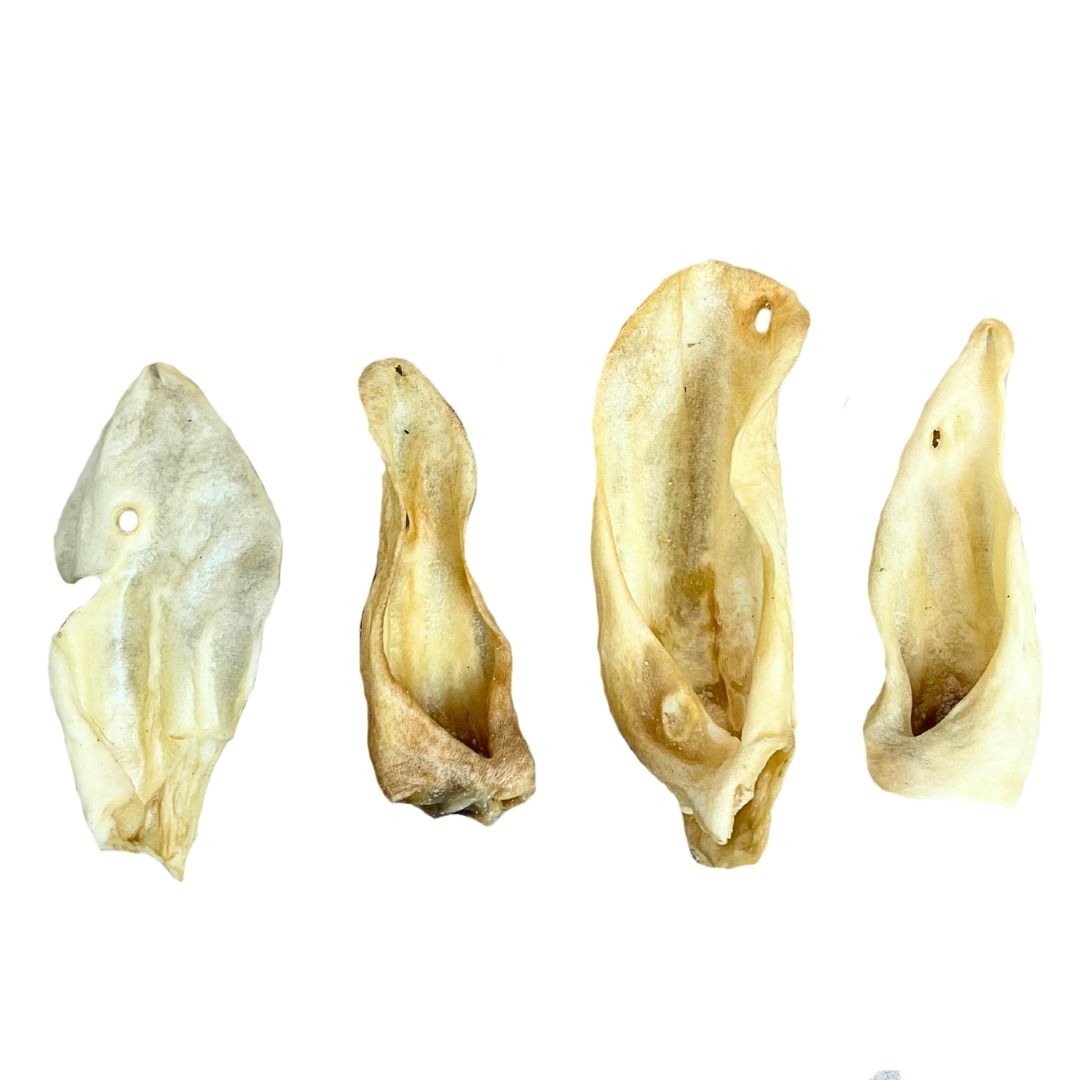 Natural Goat Ear Dog Chew – Single