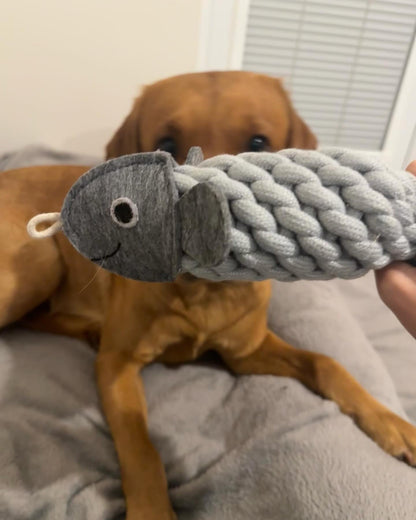 Lando with Rope Fish Toy