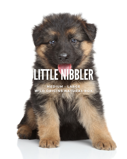Little Nibbler (Puppy) - Medium to Large -  Wild Origins Natural Box