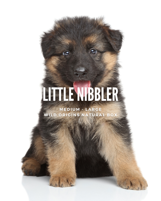 Little Nibbler (Puppy) - Medium to Large -  Wild Origins Natural Box