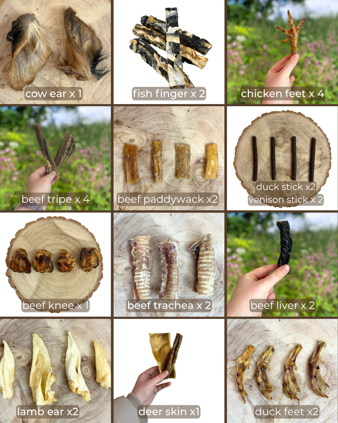 Mighty Middlers (Medium) Wild Origins Natural Box