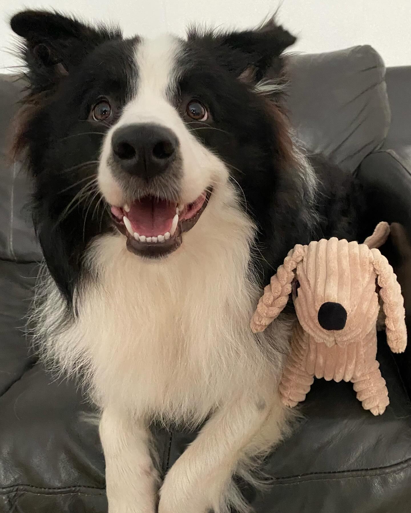 Oakley with Dougie Deli Dog Cord Plush Toy