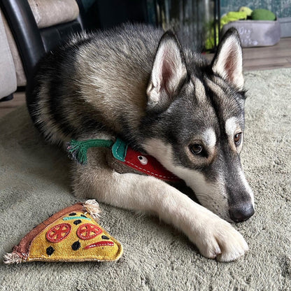 Green and wilds eco pizza dog toy