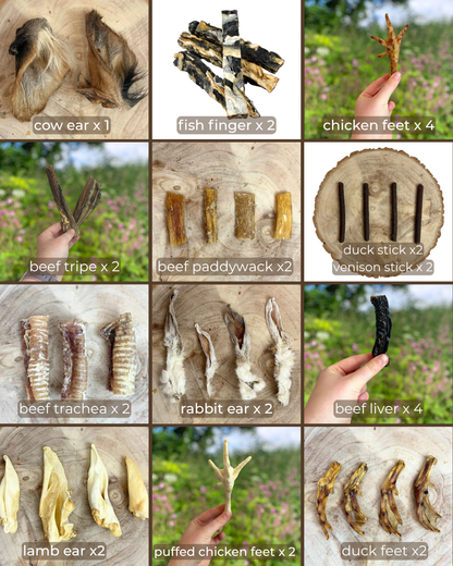 Small but Mighty (Small) Wild Origins Natural Box