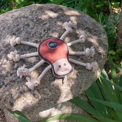 Green and wilds eco dog and puppy toy, Spike the spider