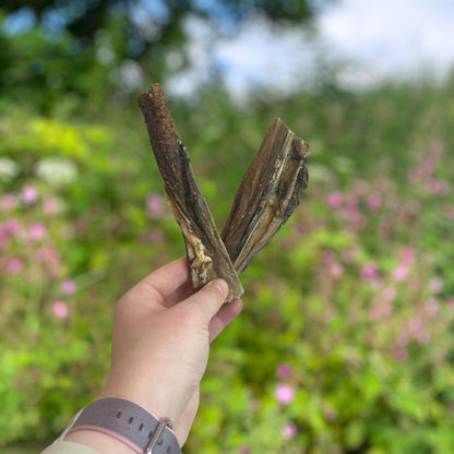 Tripe Dog Chew – Natural