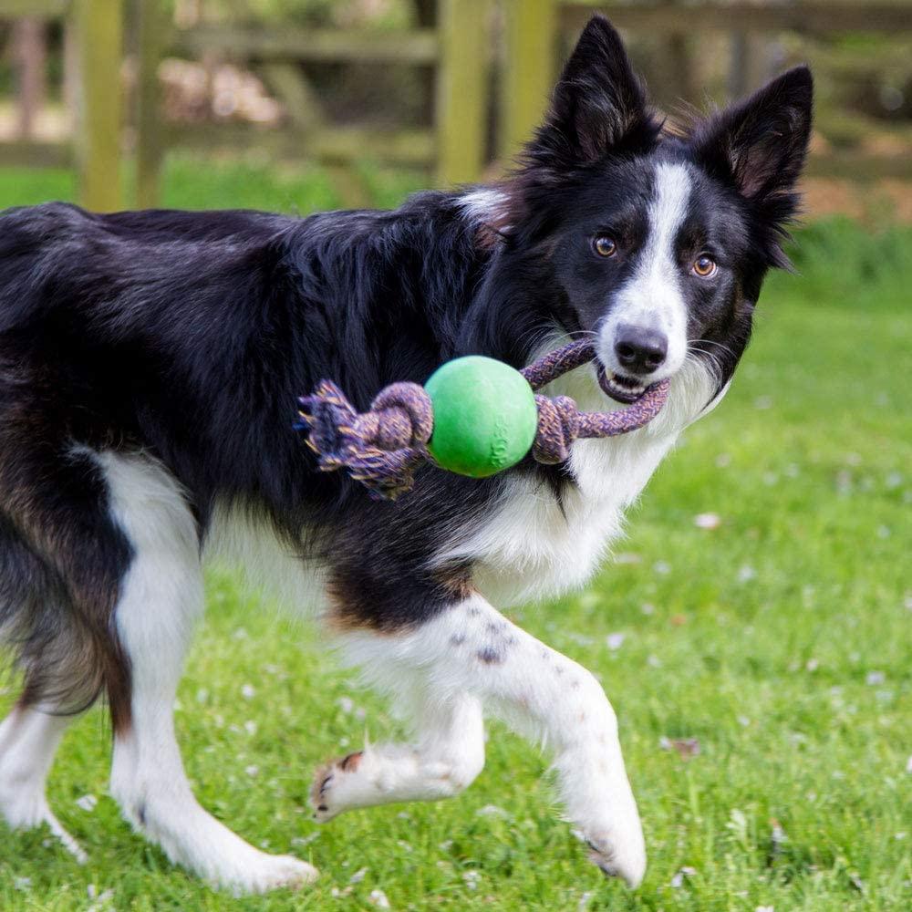 Beco dog ball toy on a rope