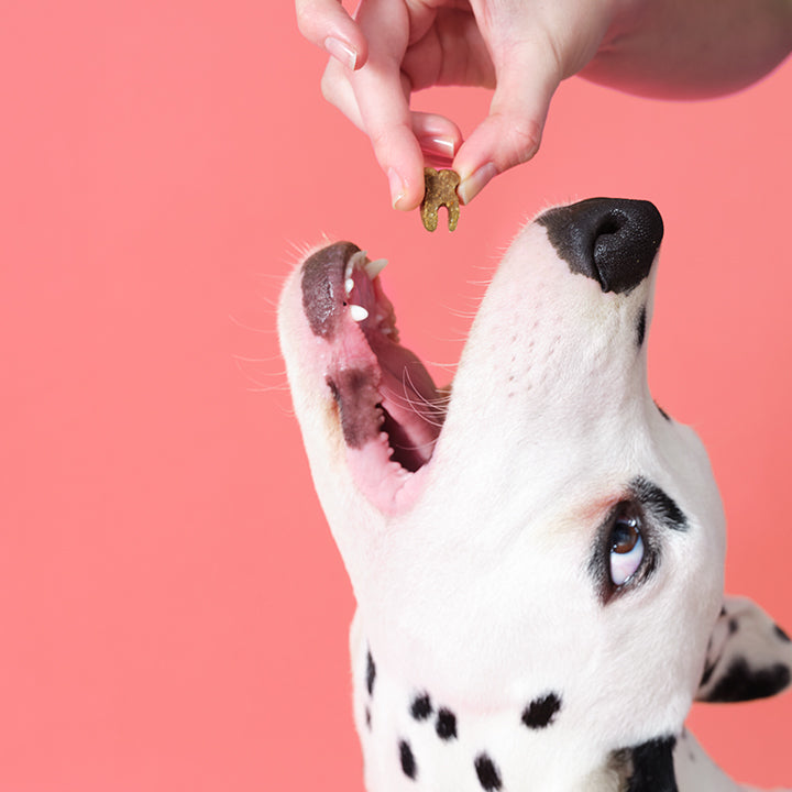 Dental Probiotic Meaty Treats