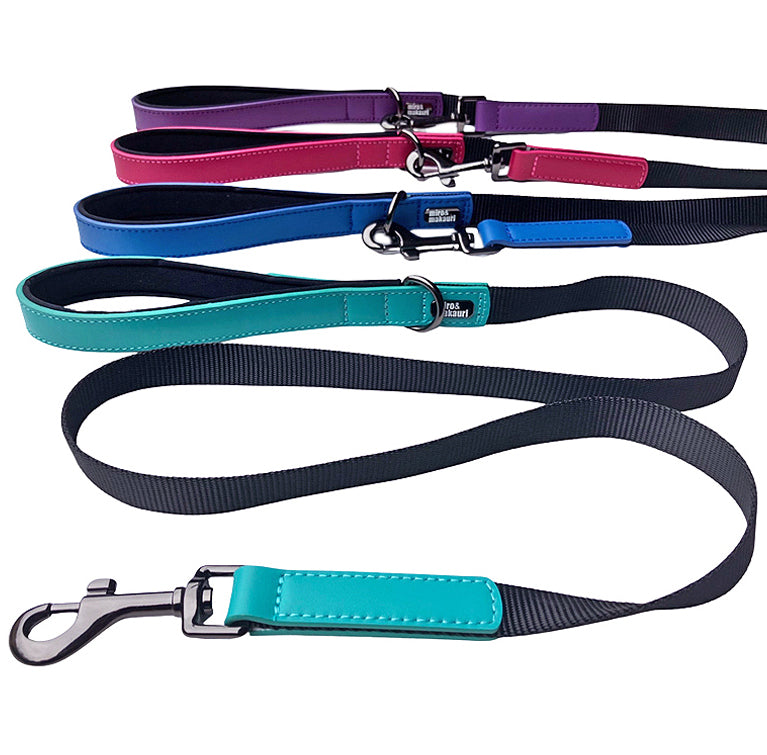 Milford Leather/Nylon Leads
