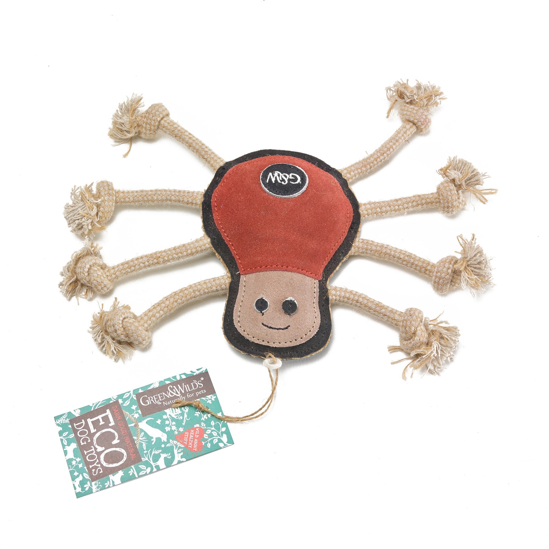 Green and wilds eco dog and puppy toy, Spike the spider