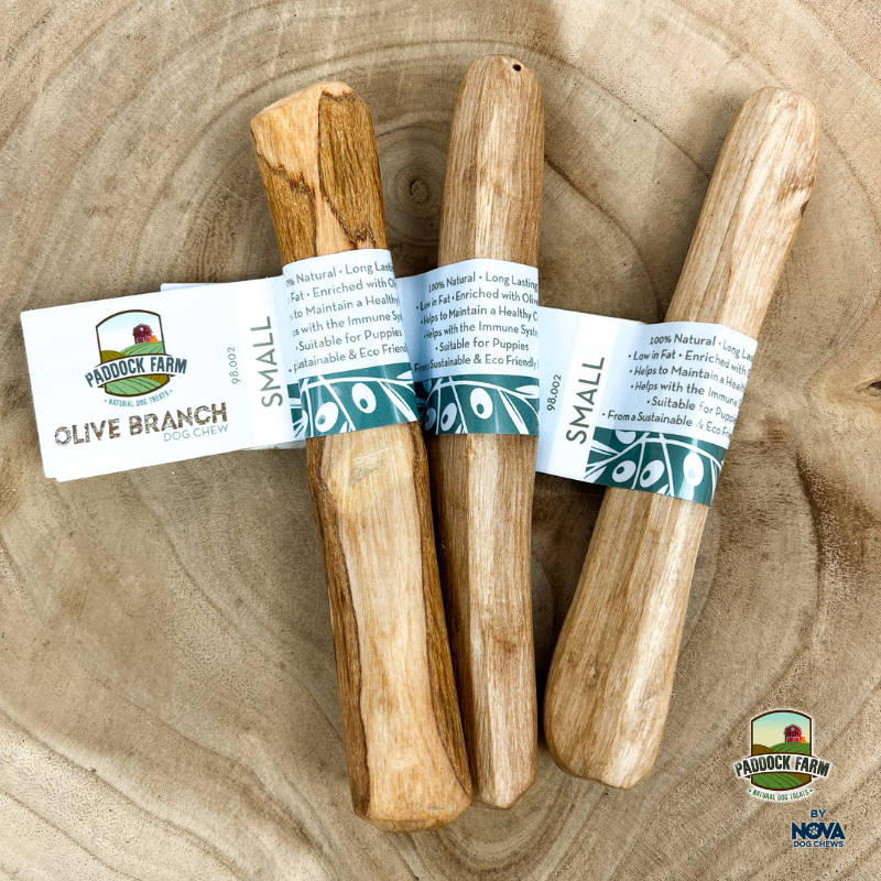 Paddock farm olive branch dog and puppy chew