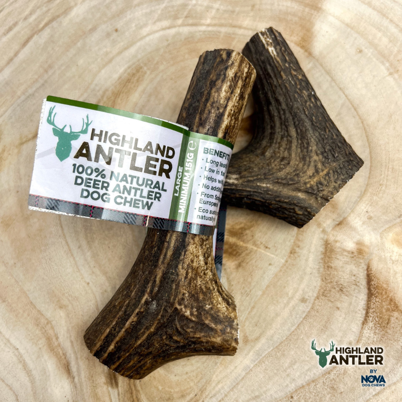 Highland Antler Dog Chew